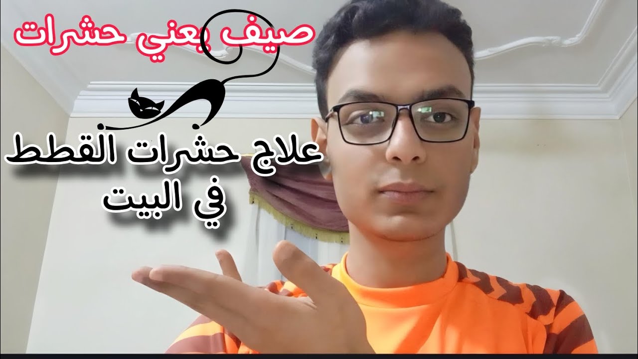 صيف يعني براغيث - علاج حشرات القطط بكل سهولة في البيت في خطوة واحدة بس😻