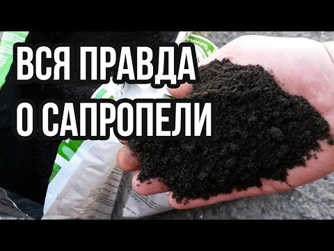 Сапропель. Что это такое и как использовать?