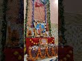अखंड दुर्गा चालीसा पाठ !! दुर्गा चालीसा #durga chalisa #bmks #shaktiputramaharaj #shaktiputra 