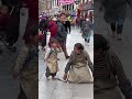 🙏Дорога к ХРАМУ通往聖殿的道路Con Đường Đến Đền Thờเส้นทางสู่วัดThe Road to the TEMPLEमन्दिर जाने बाटो🙏