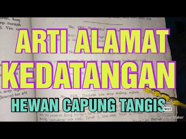 ARTI ALAMAT KEDATANGAN CAPUNG TANGIS class=