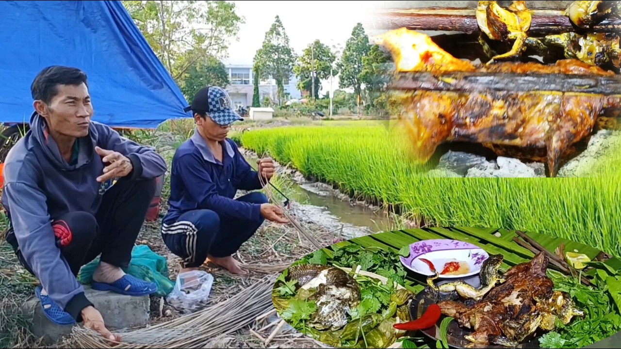 Tập 42 _ Thử thách săn bắt cắm câu ở kênh hội đồng ll trúng mánh toàn Là mòi bén