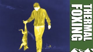 Thermal Foxing