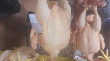 ¿Es bueno el pollo para aumentar de peso?