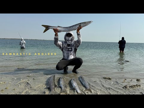 Shimano Stella SW 4000HG Vs Monsters - YouTube