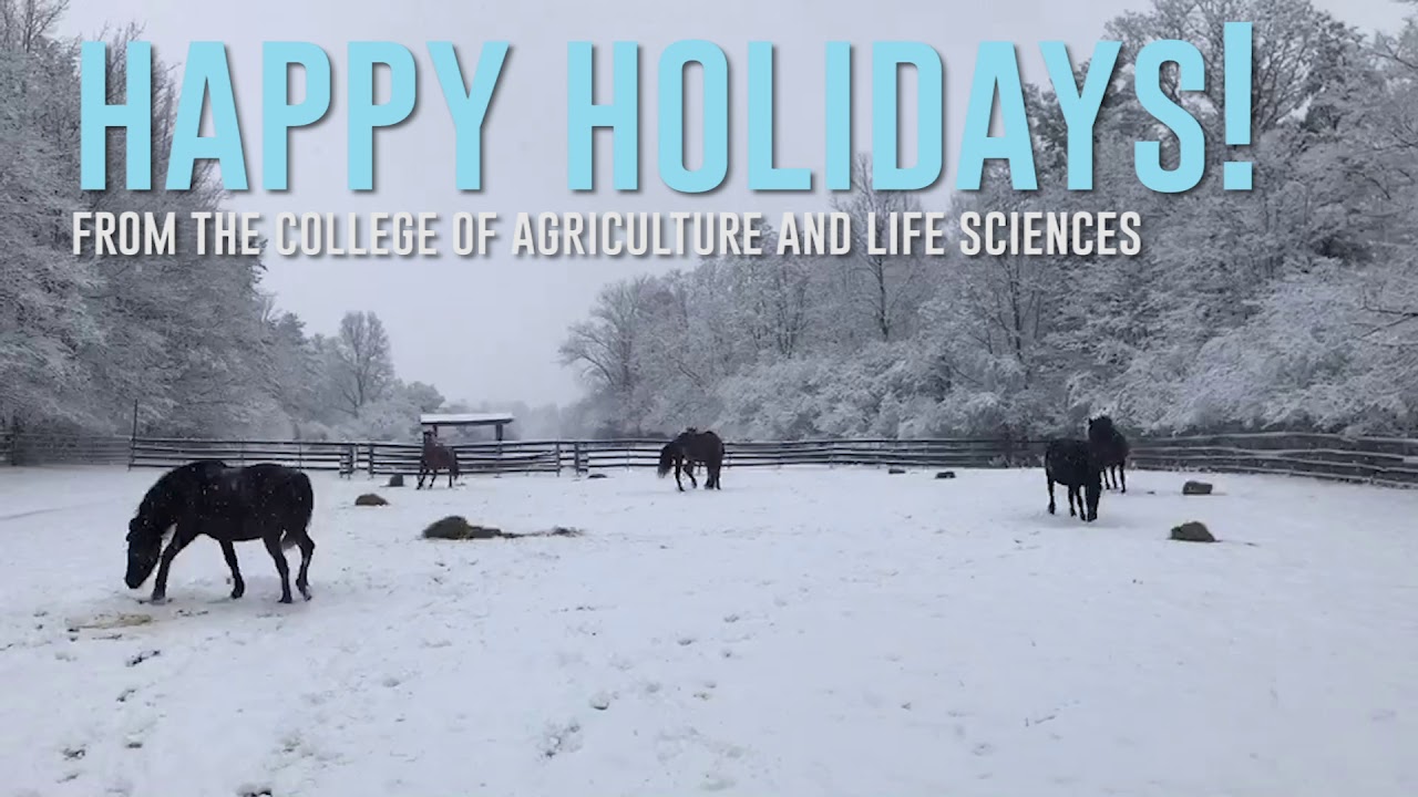 Happy Holidays from UVM CALS