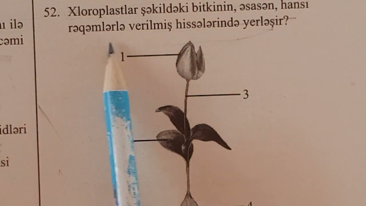 Güvən nəşriyyatı 2020. Abituriyentlər üçün tapşırıqlar toplusu ll hissə. Sitologiya. 41-58 testlər