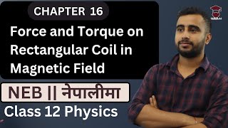 Force and Torque on Rectangular Coil in Magnetic Field || Class 12 Physics Chapter 16 | NEB -Gurubaa