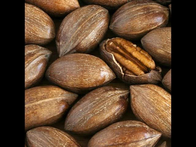 Qizning sutenyorlar qoliga tushishini tomosha qiling