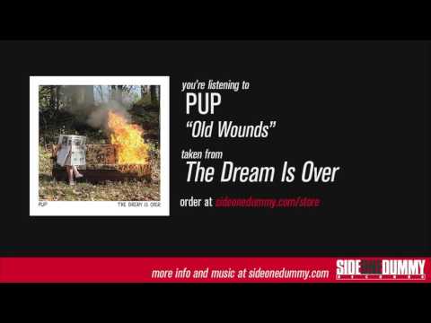 PUP - Old Wounds