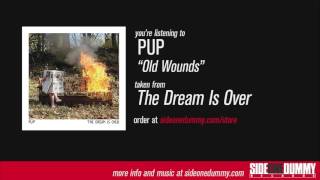 Video thumbnail of "PUP - Old Wounds (Official Audio)"