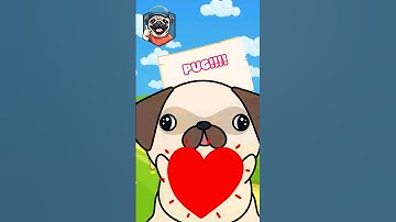 Which? #pug #dog #frenchie