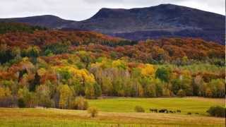 Bieszczady Jesienią | Kolorowe Szlaki