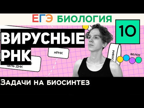 #10 Вирусные РНК | Задачи 27 на синтез белка | Правильное оформление | ЕГЭ Биология