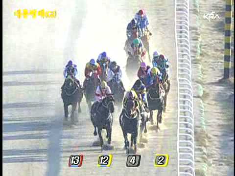 2007 President's Cup (G1) (11.04,10f)