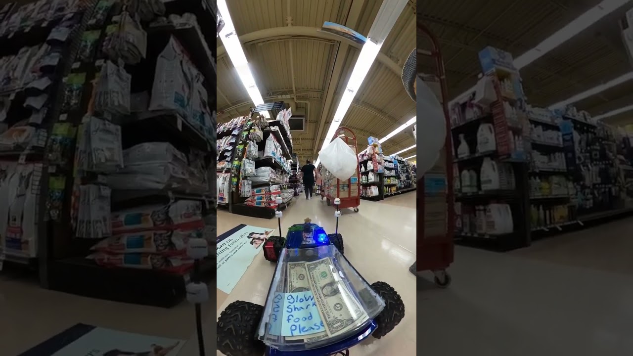 Buying Shark food with rc car part 1