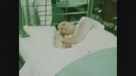 News Item (827c1e0f-93d8-36b5-8626-c2de5dc44e1e)