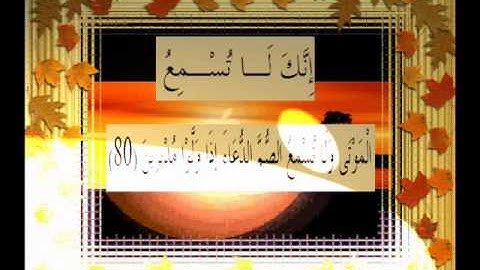 القرآن الكريم سورة النمل الأية 80.wmv