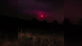 𝘈𝘭𝘭 𝘛𝘩𝘪𝘯𝘨𝘴 𝘊𝘰𝘯𝘴𝘪𝘥𝘦𝘳𝘦𝘥, 𝘠𝘰𝘶 𝘞𝘦𝘳𝘦 𝘵𝘩𝘦 𝘉𝘦𝘴𝘵.