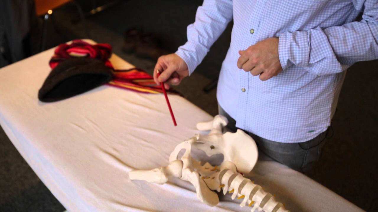 Osteopathie: Lamina pubo-vesico-genito-recto-sacrales