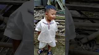 tes kualitas #fypvidio #hobiayam  #jangkauanluas