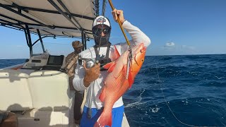 Red Snapper slow jigging in Socotra