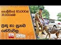 පොලීසියේ 85,000න් 31,000ක්ම ප්‍රභූ හා සුනඛ සේවාවල