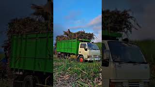 STORY WA TRUK OLENG 30 DETIK!! #trukmania #trukmbois #trukoleng #tukangreposttrukindonesia