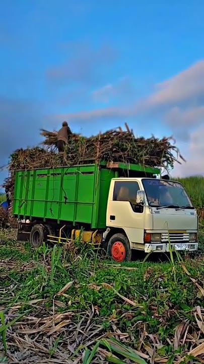 STORY WA TRUK OLENG 30 DETIK!! #trukmania #trukmbois #trukoleng #tukangreposttrukindonesia