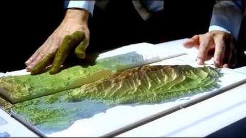 Projection Augmented Landscape Models