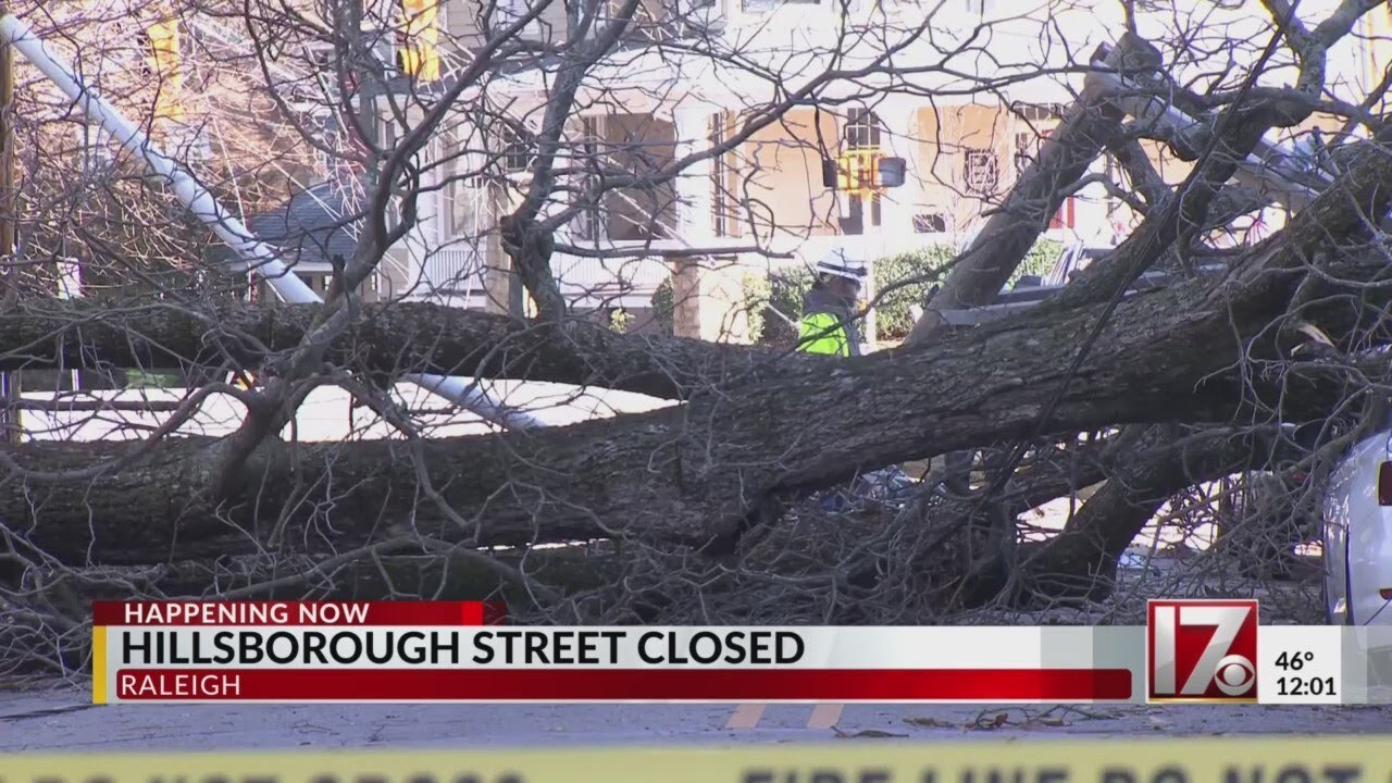 Fallen tree on Hillsborough Street, power outages and road closures ...