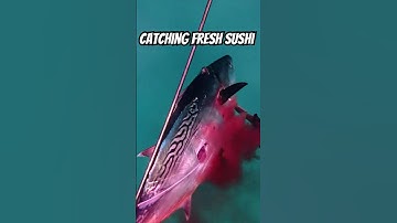 Everyone Said This Was a TRASH Fish… I Fed It to My Family