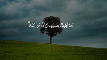 ﴿الله لطيف بعباده يرزق من يشاء وهو القوي العزيز﴾ تلاوة خاشعة للقارئ احمد النفيس من سورة الشورى 19-22