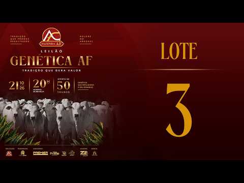 LOTE 3 ARFS  191