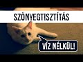 Száraz kárpittisztítás 💦🚫 Szőnyegtisztítás víz nélkül | Tényleg hatásos?