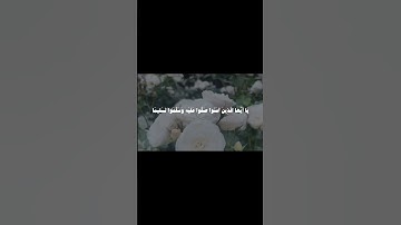 ان الله وملائكته يصلون على النبي #قران_كريم #اكسبلور #quran #قران #ياسر_الدوسري #سورة_الاحزاب #fyppp