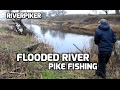 Flooded river pike lure fishing - (video 167)