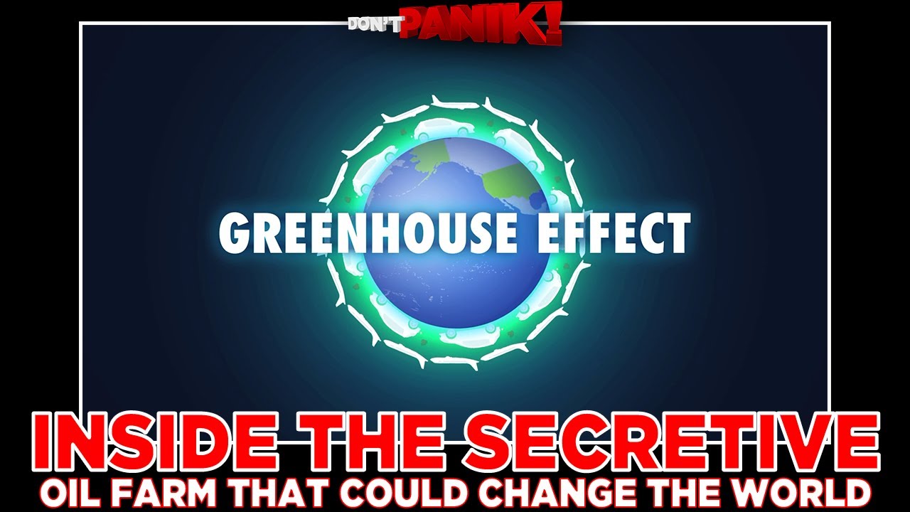 Inside the Secretive Oil Farm That Could Change the World