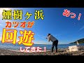 遠投かご釣り編:和歌山 煙樹ヶ浜に今年もカツオが回ってきました！奴らには遠投かご釣りが一番だ！