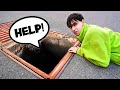 Our dog fell into the sewer