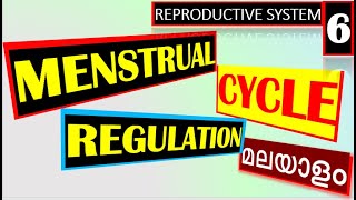 Menstrual Cycle Malayalam Class Menstrual Cycle Physiology Malayalam Female Reproductive Cycle