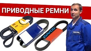 видео: Приводные ремни на Вольво - обзор ВСЕХ марок (оригинал, CONTITECH, DAICO) Былины о зап.частях Vollux картинка: Приводные ремни на Вольво - обзор ВСЕХ марок (оригинал, CONTITECH, DAICO) Былины о зап.частях Vollux