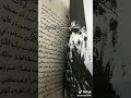 رواية انني اتعفن رعبا للكاتبة مريم الحيسي 