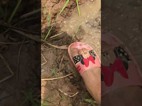 Great view, POV, ASMR, flopflops in the mud, request, great sound high volume