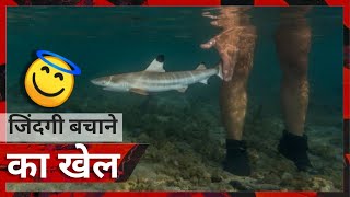 🙀 ये है असली जिंदगी का खेल | real life game and saving life | baby shark 🔮 YouTube video by Saurabh