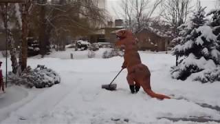 T-Rex Snow Removal