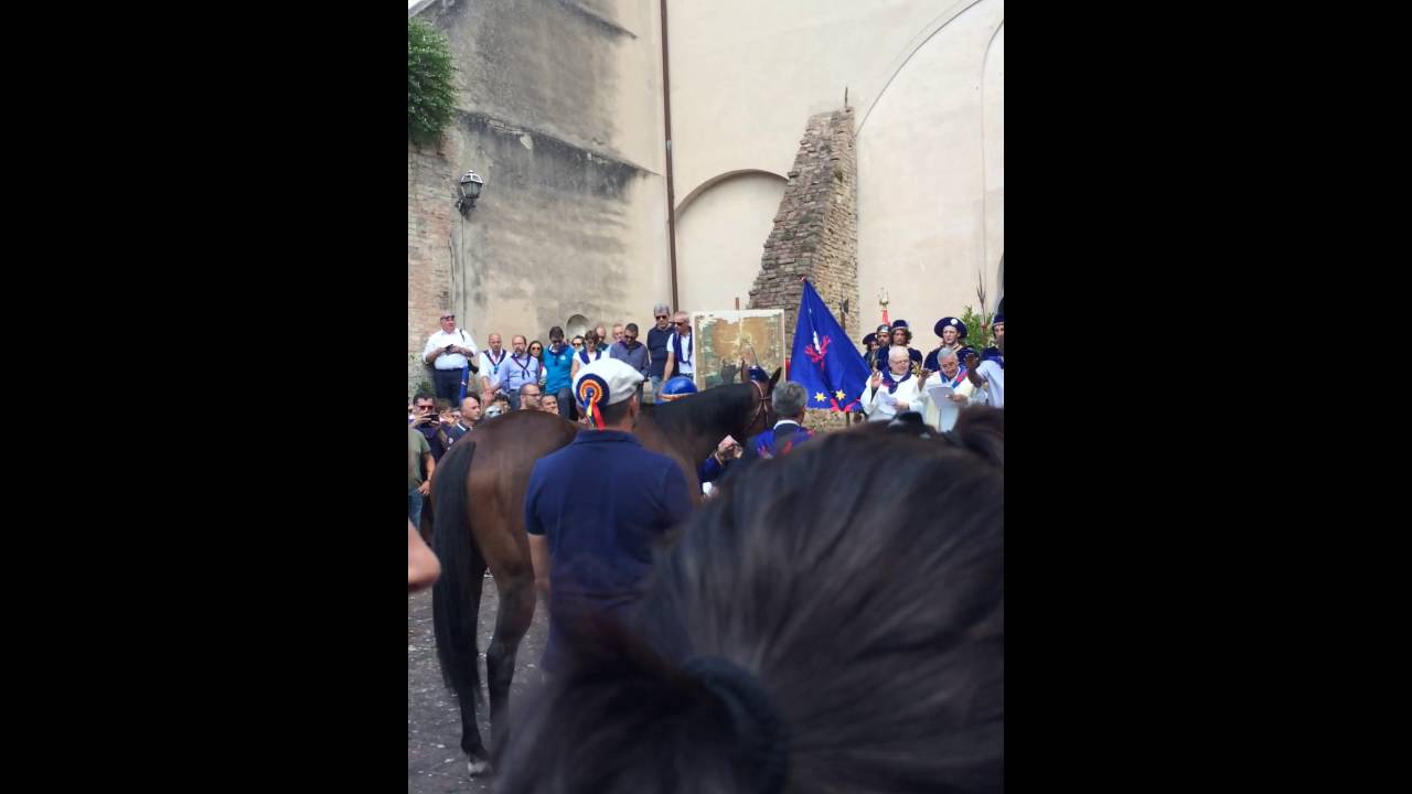 Benedizione cavallo nicchio - palio 2 luglio 2016 (Tittia e Quadrivia)