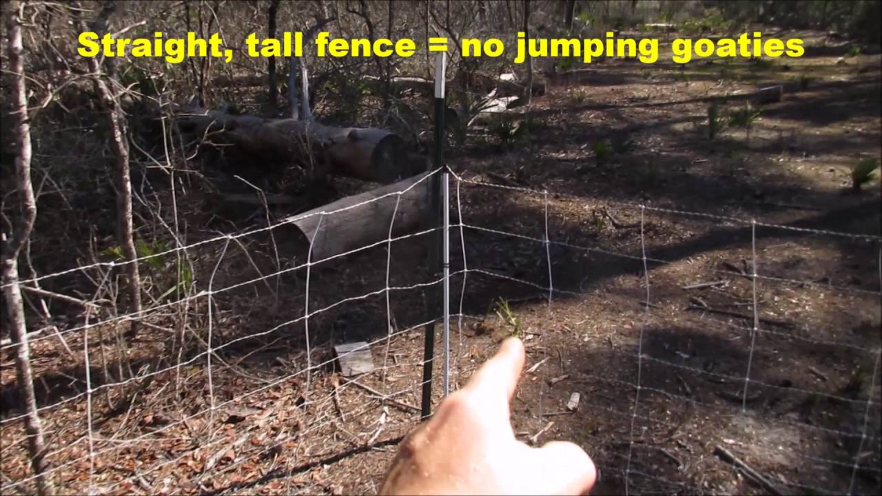 How to build electric fence for goats - Gann Farm Raised