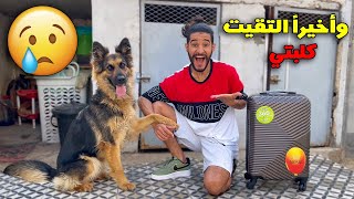 ردة فعل كلبتي ملي شافتني بعد غياب شهرين 💔🐕في الغربة صدماتني وفاء الكلاب😥😱