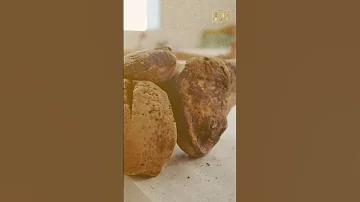 Archaeologists In Egypt Just Unearthed A Previously Unknown Pharaoh S Tomb Pharaoh Tomb Egypt 